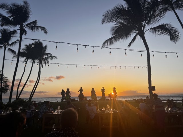 Gathering at Sunset with Palm Trees