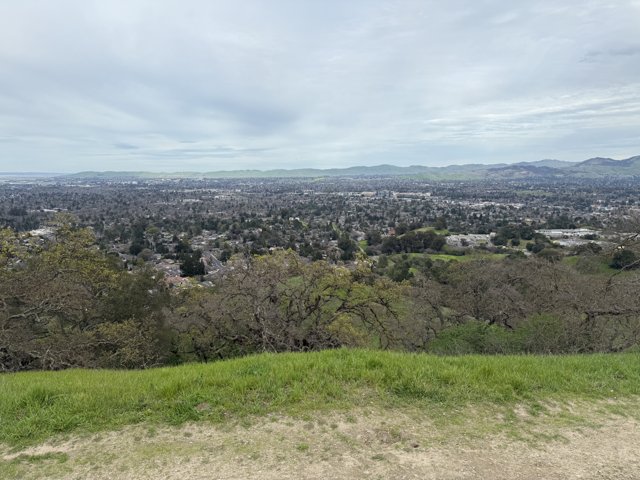 Peaceful Overlook in Walnut Creek