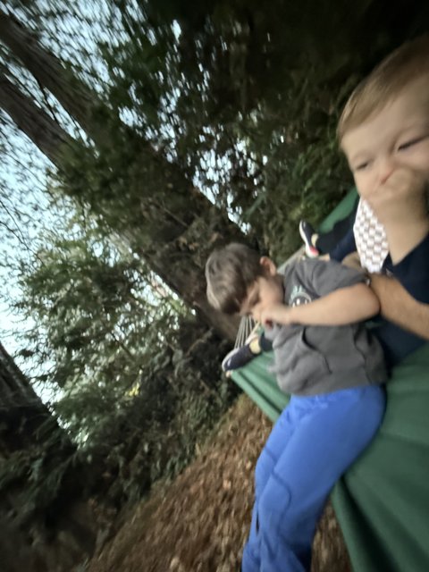 Woodland Whispers