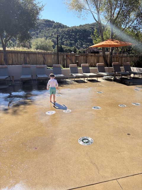 Sunlit Adventures in Carmel