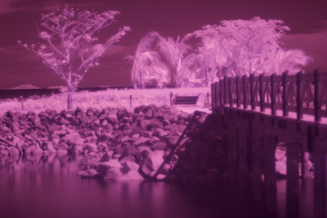 Infrared Reflections of Urban Architecture on Waterfront