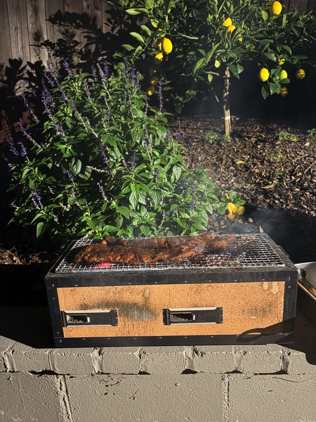 Outdoor BBQ Grilling Meat Skewers in Garden Setting