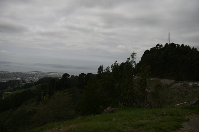 Hillside View of San Francisco