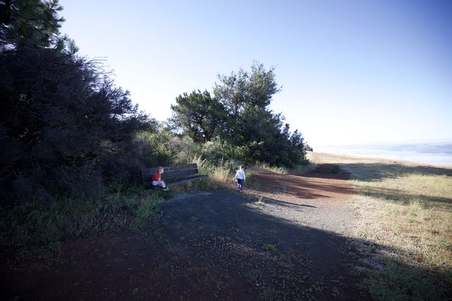Children Exploring a Hilltop Trail at Mount Diablo