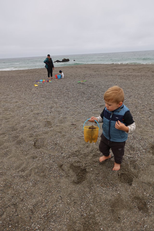Toddler Explores Beach with Yellow Bucket