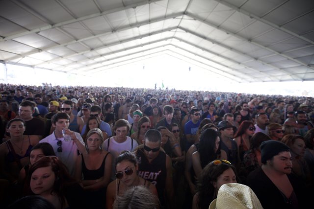 Concert Crowd at Coachella 2012