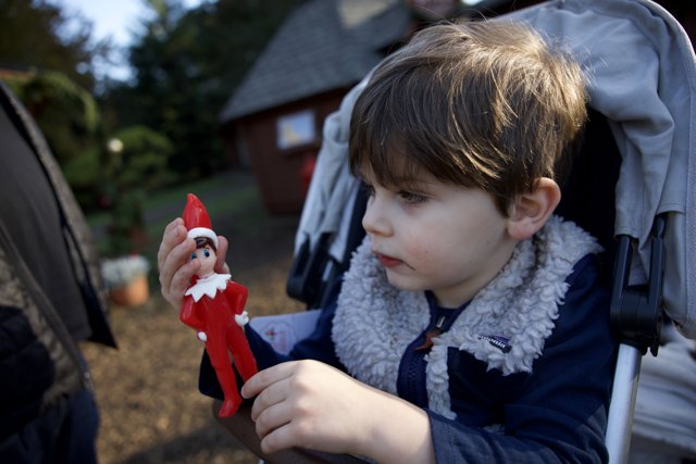 Enchanted Moments at Thistlewyck