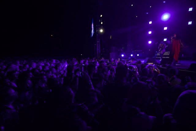 Purple Haze at the FYF Concert