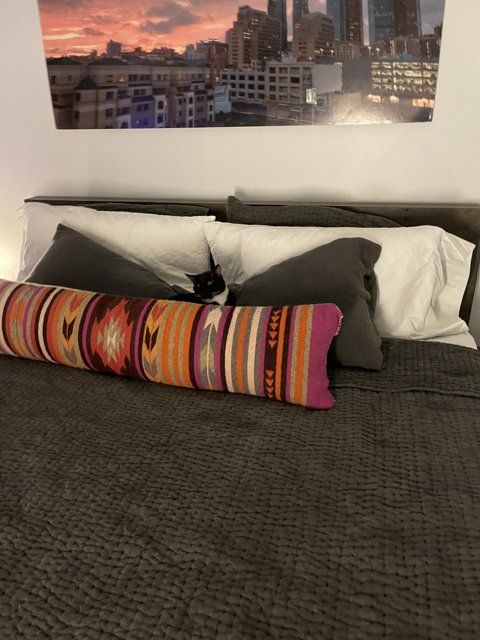 Colorful Pillow on a Cozy Bed