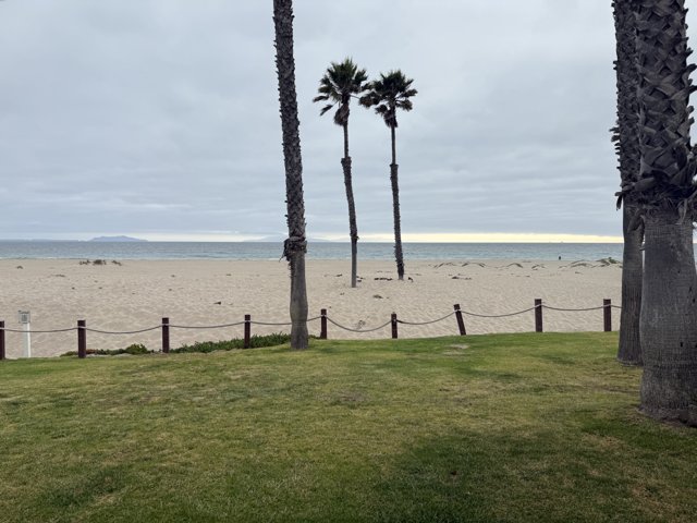Tranquil June by the Shore