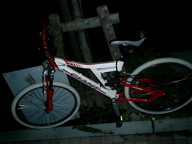 Red and White Bicycle in Tokyo
