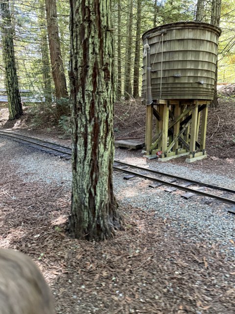 Tranquil Tracks Through Tilden
