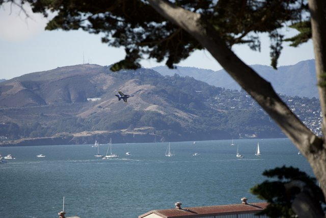 Enthralling Aerial Ballet Over San Francisco Bay