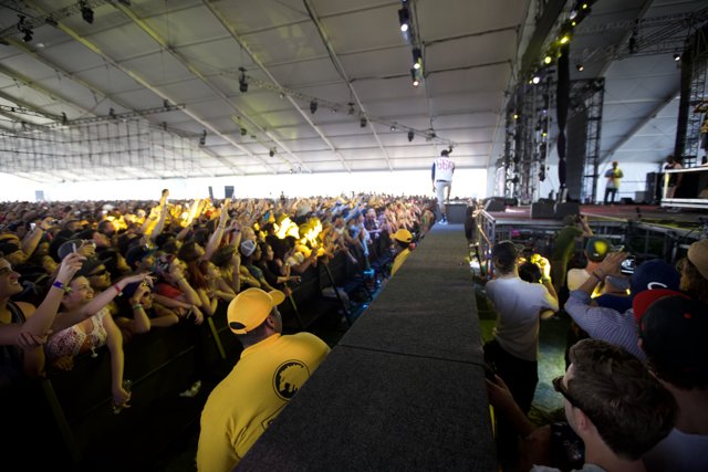 Yellow Sea of Fans