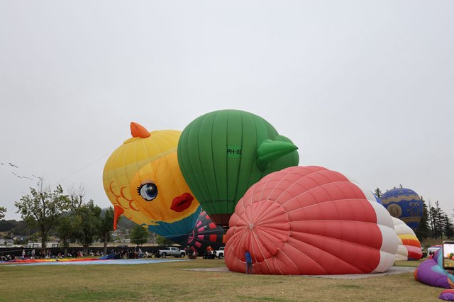 Giant Character Balloons Inflate at Sonoma County Festival
