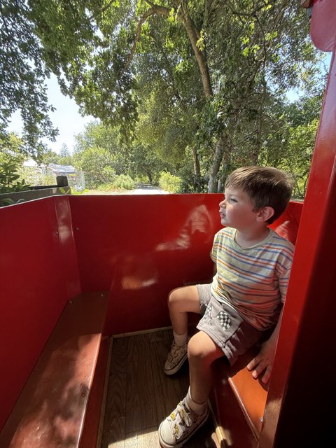 Summer Adventures in the Park