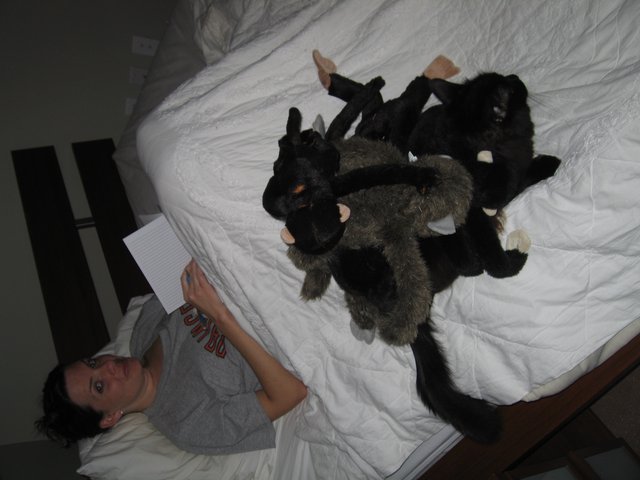 Woman Writing in Bed Surrounded by Stuffed Animals