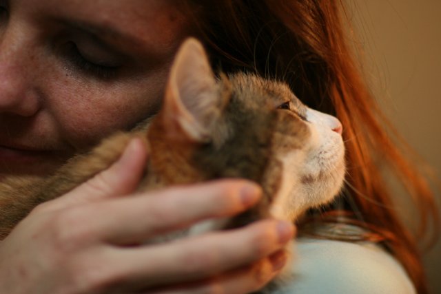 Lovingly Holding our Abyssinian Cat