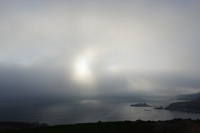 Moody Coastal Landscape Through Dramatic Fog