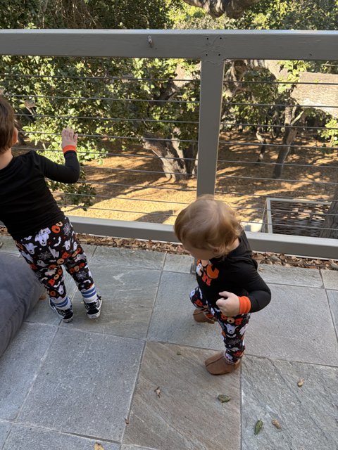 Autumn Adventures on the Patio