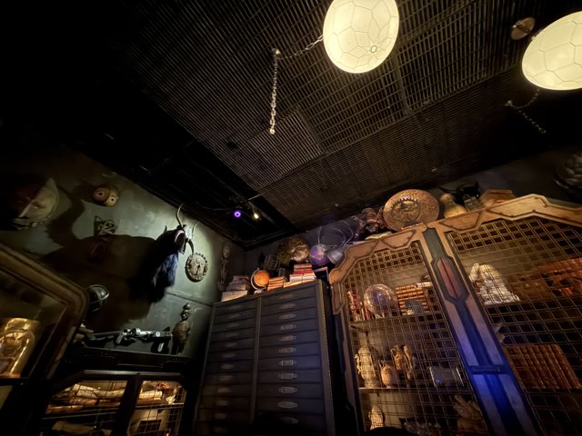 Enchanted Curiosities within Disney's Depths