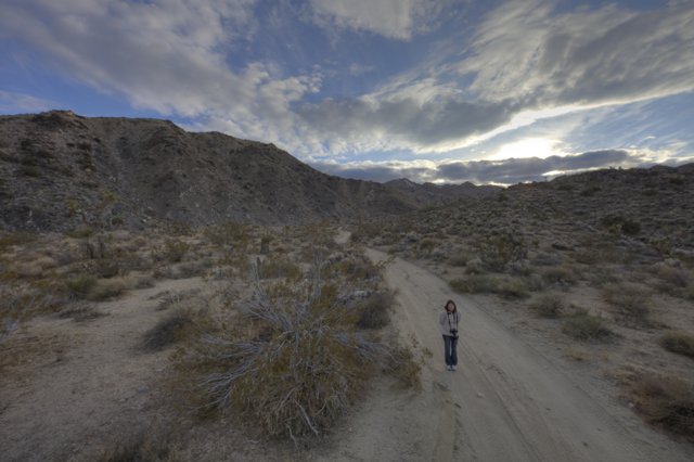 Journey through Joshua Tree