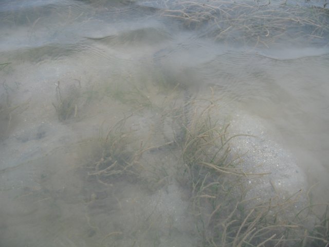 Misty Riverbank