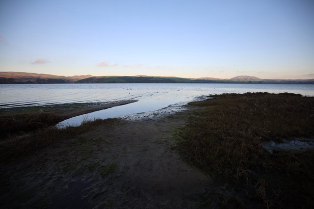 Tranquil Estuary at Dusk with Rolling Hills