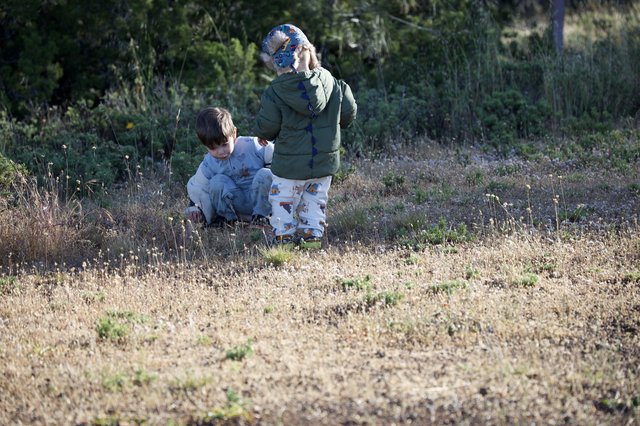 Young Explorers Discovering Nature at Mount Diablo