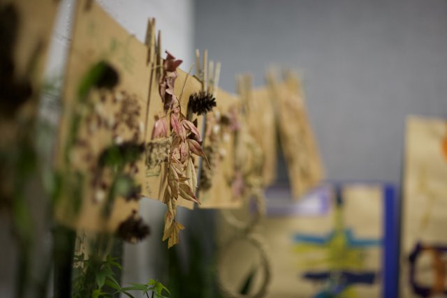 Dried Plant Bouquet Displayed on Clothespins