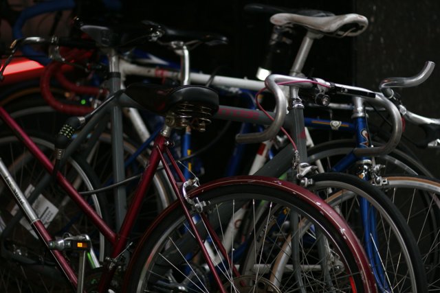 A Group of Parked Bicycles
