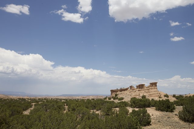 Desert Plateau