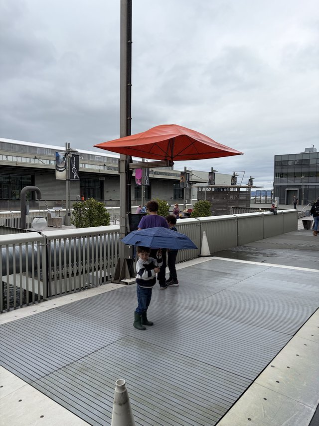 Child with Umbrella on Rainy Rooftop Terrace