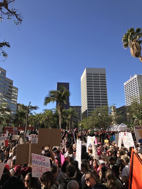 Protest in Metropolis