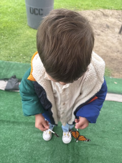 A Moment with Monarchs