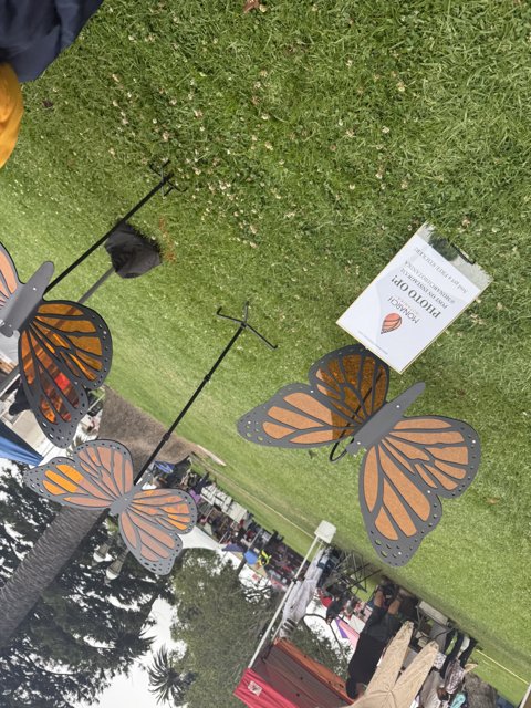 Monarch Moments in Plaza Park