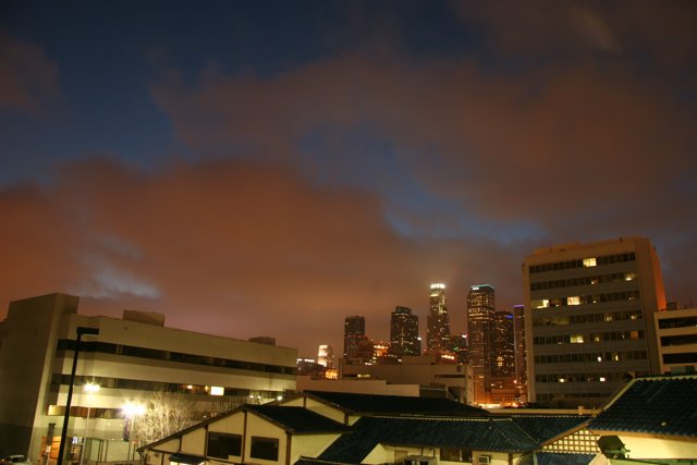 Metropolis Illuminated: A Stunning Nighttime View of the City Skyline