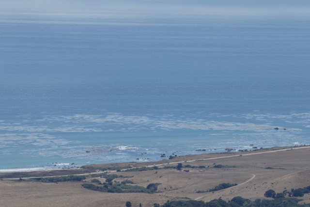 Coastal Serenity