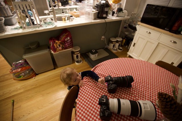 Toddler's Curious Exploration of Photography Equipment at Home