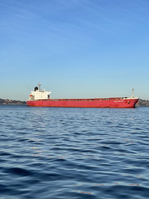 Red Freighter Navigating San Francisco Bay