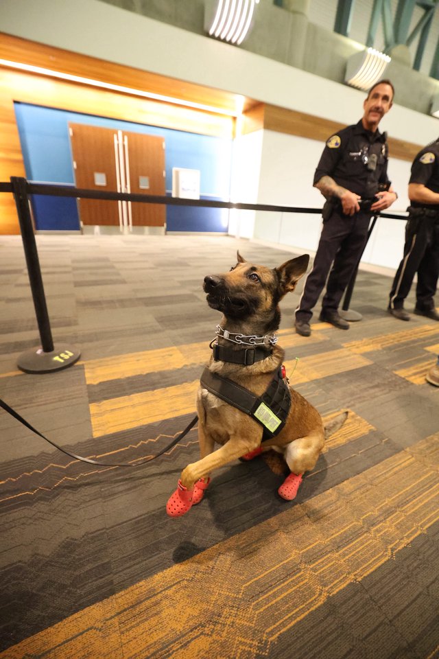 K9 Officer in Red Boots at Airport Security