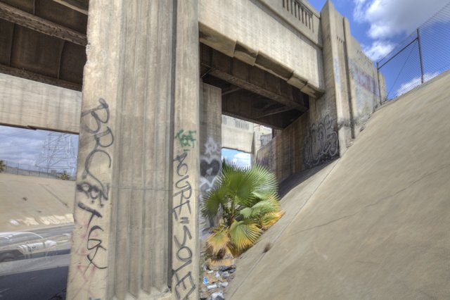 Graffiti Adorns Concrete Overpass