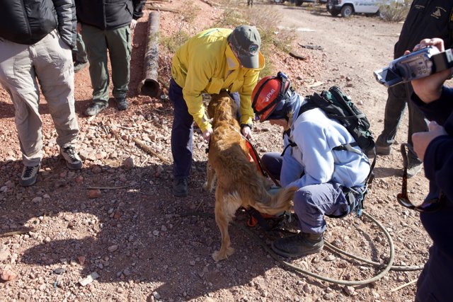 Mine Rescue: Man and Dog