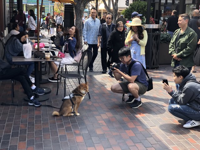 A Gathering on the Cafe Sidewalk