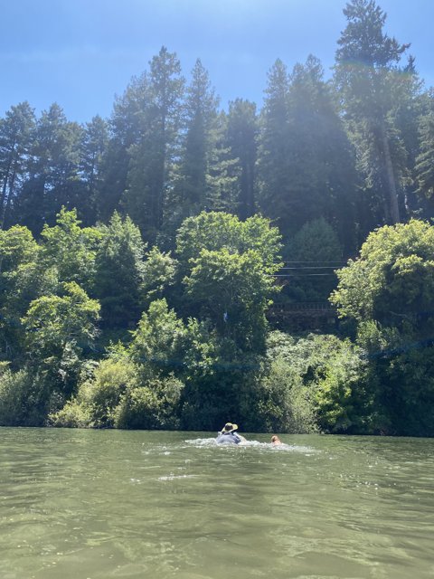 Serene Ride on the Russian River