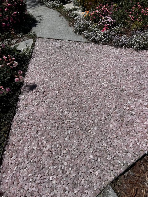 Pathway of Pink Stones