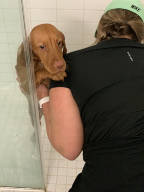 Shower Time for the Fur Baby