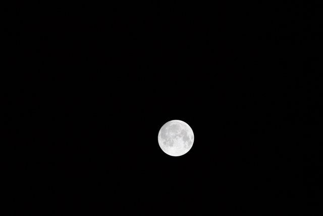 Full Moon Illuminates the Night Sky