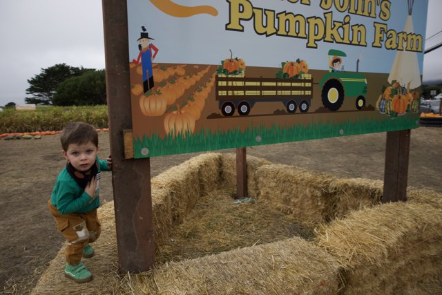 Autumn Adventures at the Pumpkin Farm