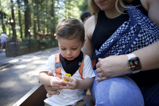 Afternoon at Walnut Creek Park